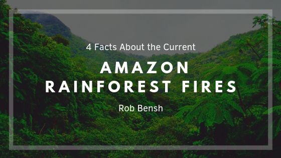 Rob Bensh 4 Facts About The Current Amazon Forest Fires